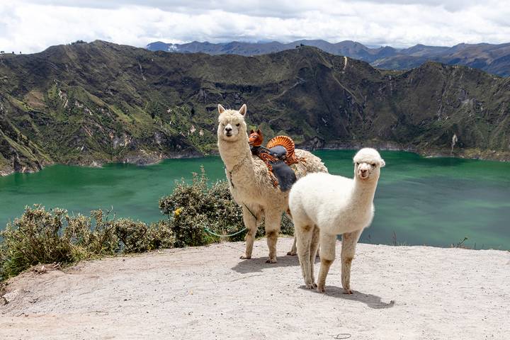 Ecuador is one of the best countries for families to visit.