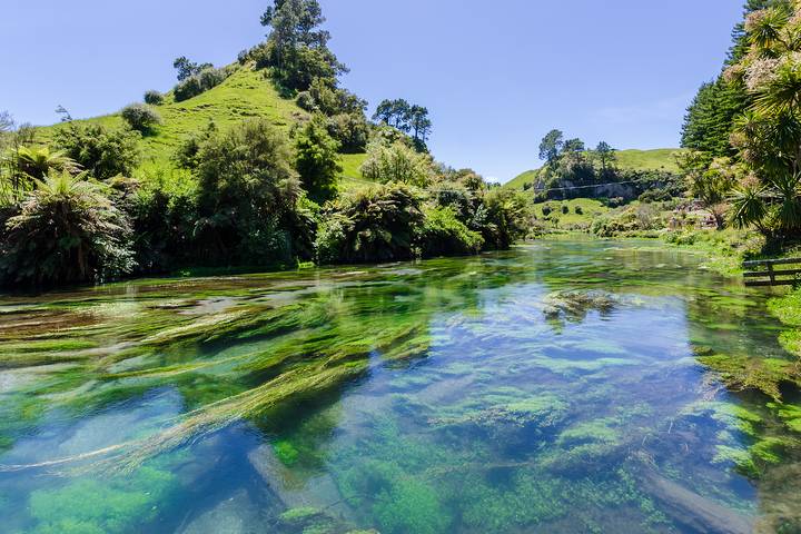 New Zealand is one of the best places to visit with kids.