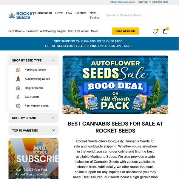 Rocket Seeds