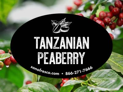 Tanzania Peaberry Coffee is the best coffee for beginners.