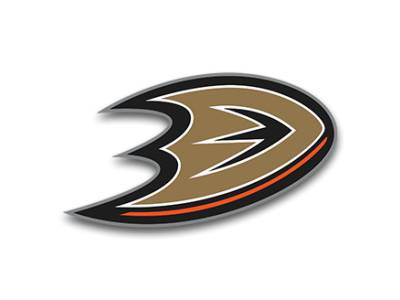 Wild Wings is the NHL hockey mascot for the Anaheim Ducks.